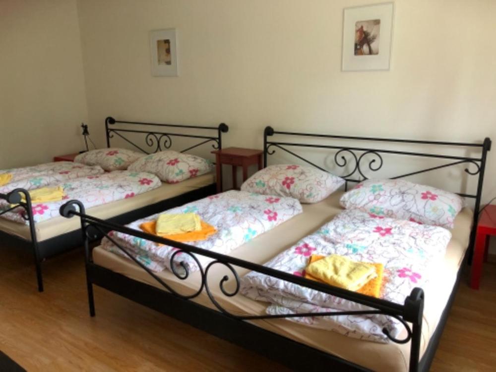 Apartmany Lipno Boucek Lipno nad Vltavou Exteriör bild